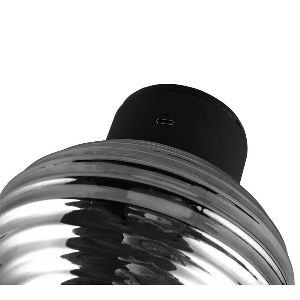 Applique murale Earl Verre à fumée rechargeable Trio 4017807643404