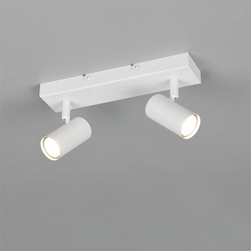 Emplacement monté en surface Taryn Blanc à deux lumières