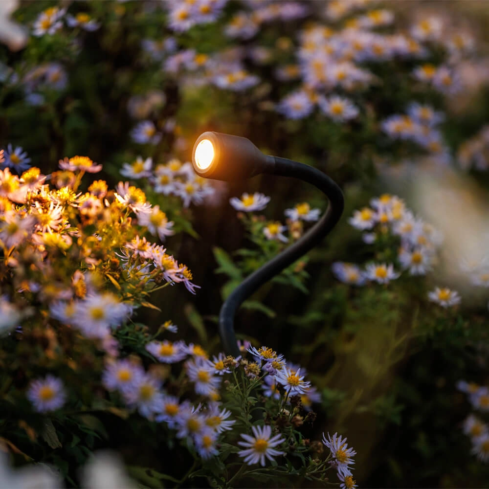 Spot flexible 12 volts Xible Lightpro 8719979283667