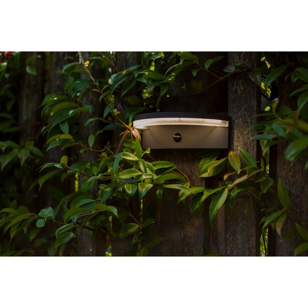 Lampe à capteur extérieur Vyzor Énergie solaire Lutec 6939412016320