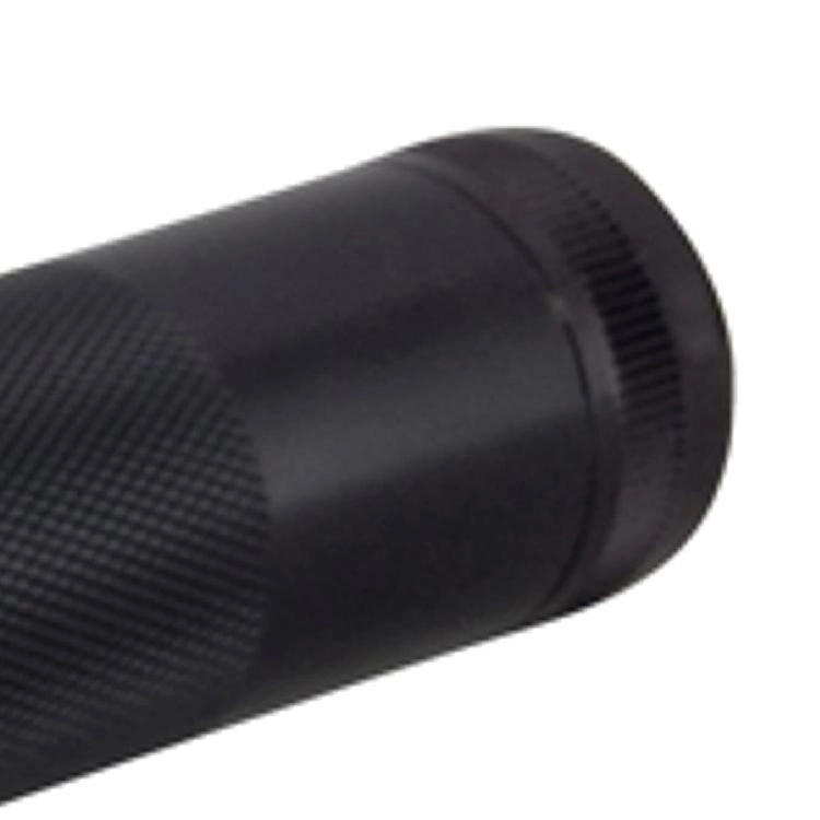 2C-cell Mag Led ML100 Noir Maglite 38739800233