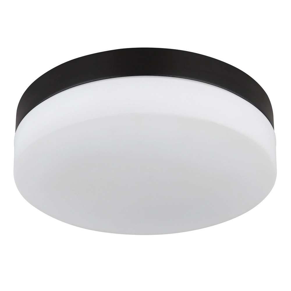 Conception de plafonds Vranos noir pour usage extérieur Ø 24cm Globo 9007371437764