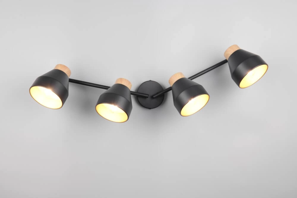 Plafonnier design 4 lumières Valentin noir Trio 4017807637434