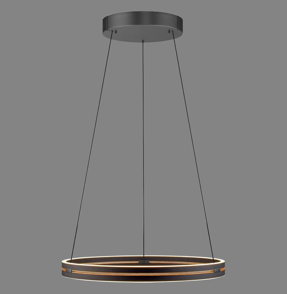 Lampe suspendue élégante Pure E-Loop noir Ø 70cm Paul Neuhaus 4012248384336