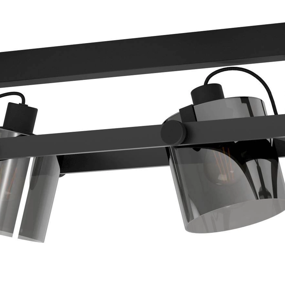 Éclairage de plafond 4L Hornwood 2 noir avec verre fumé Eglo 9002759436711