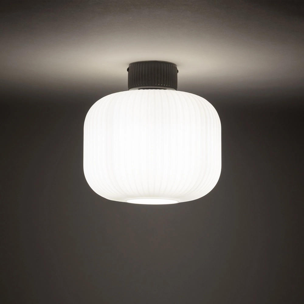 Lampe de plafond Aurora Ø 25cm gris Lyora 5903139119719