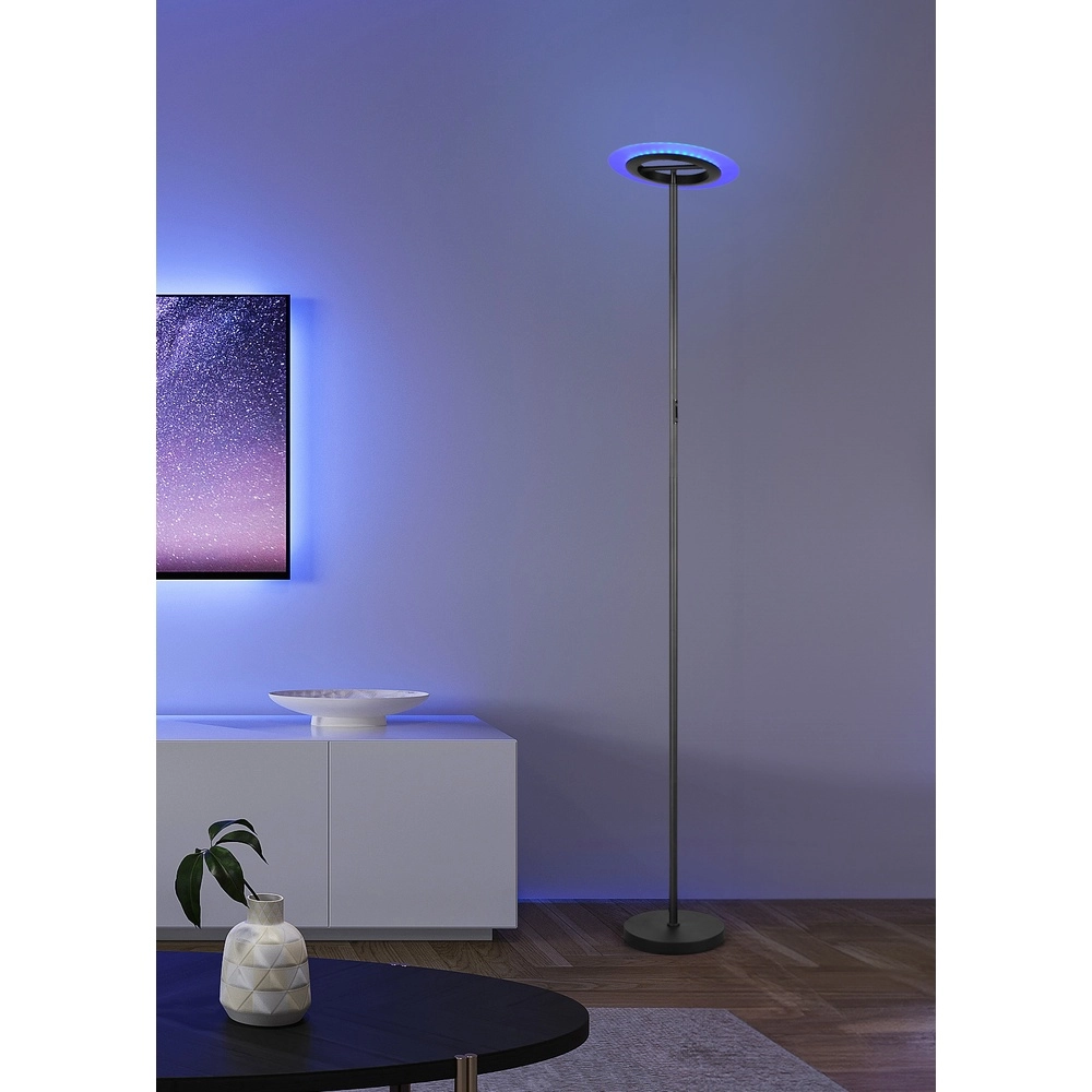 Lampadaire design Samba Noir RGB Trio 4017807653229
