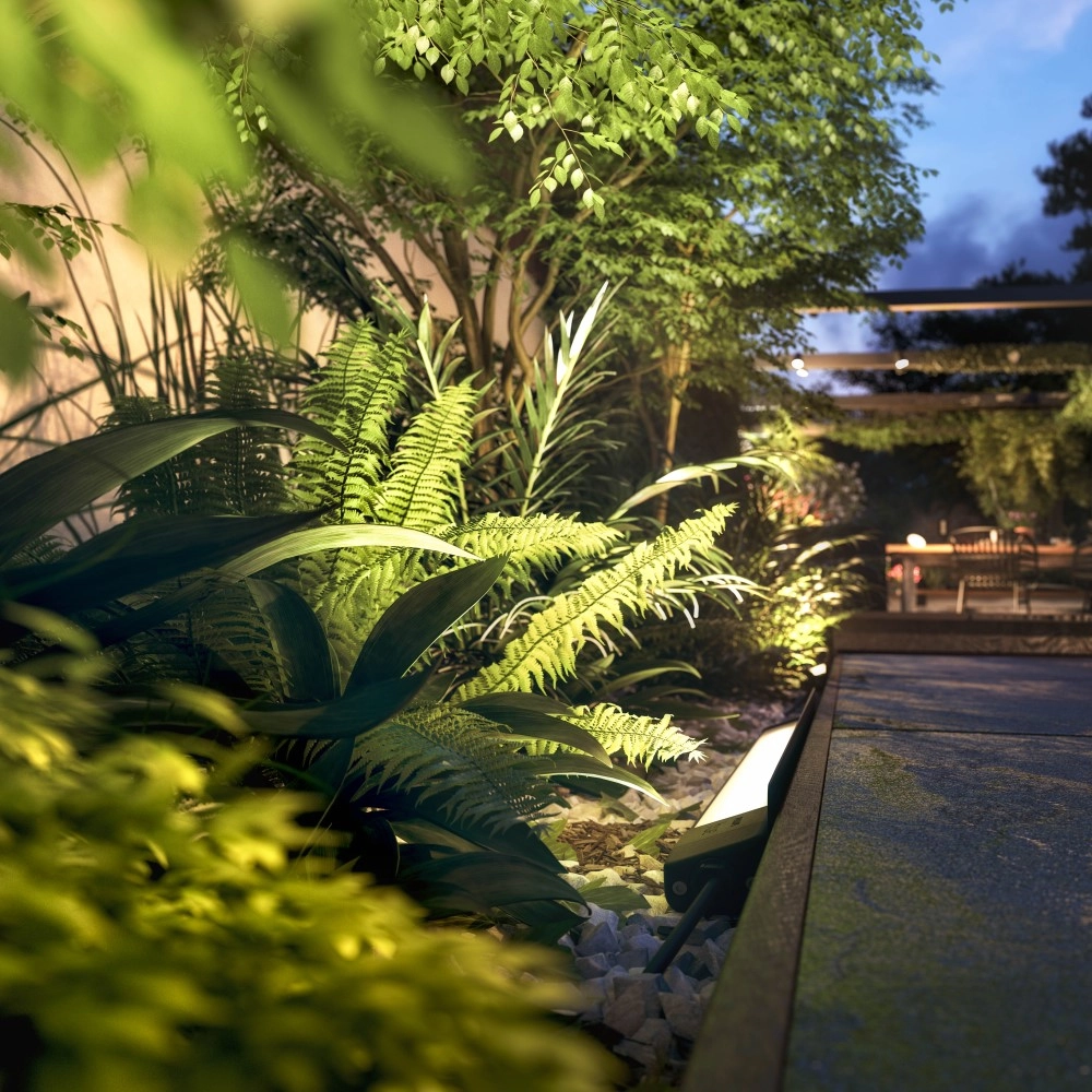 Hue Amarant Philips 8718696174425