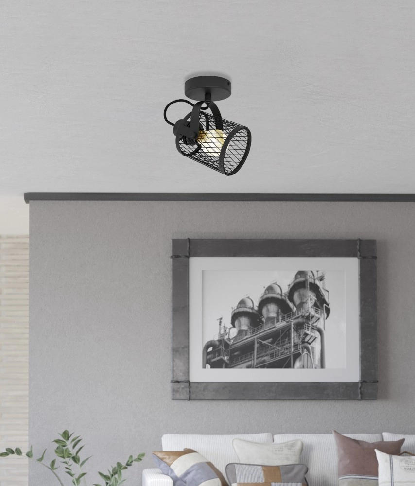 Plafonnier Dellow 1 Noir Simple Eglo 9002759312435