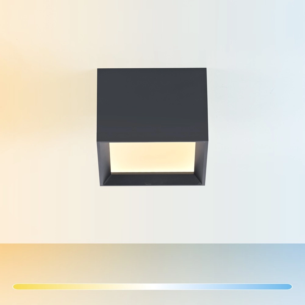 Spot à LED monté en surface Pure Manhattan Gris mystique Paul Neuhaus 4012248396827