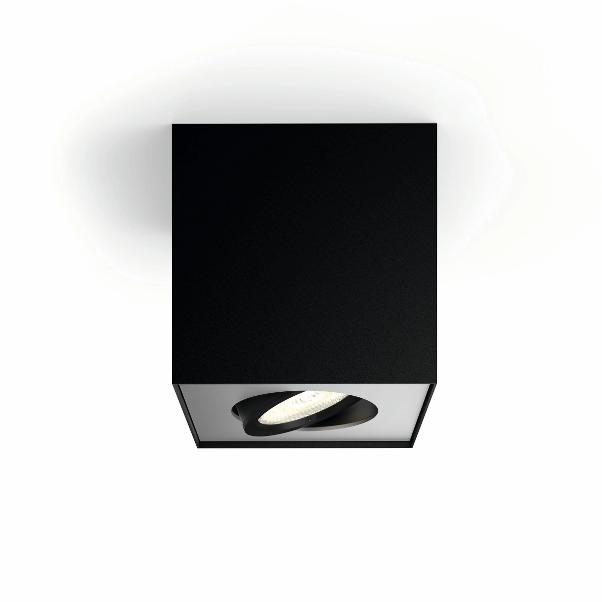spot Box