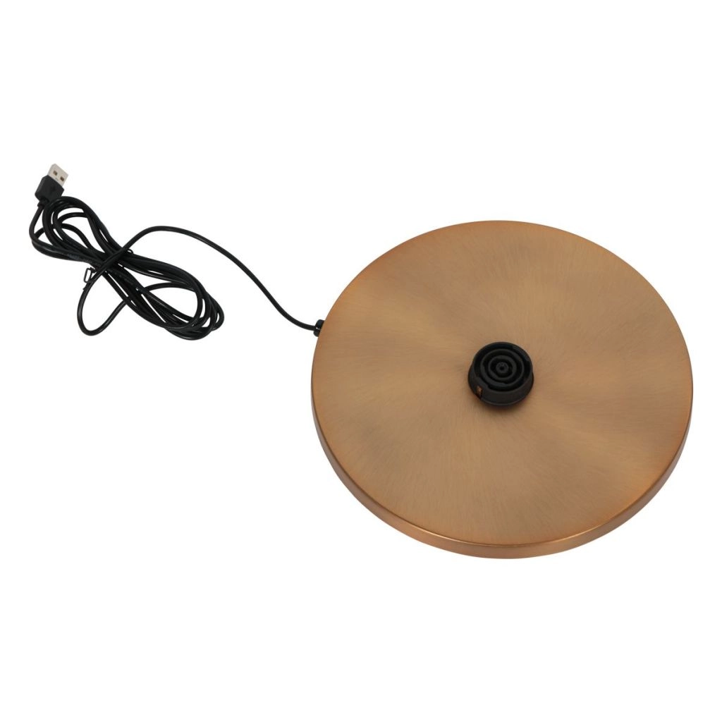 Lampe de lecture Glowgo Or Steinhauer 8712746184518