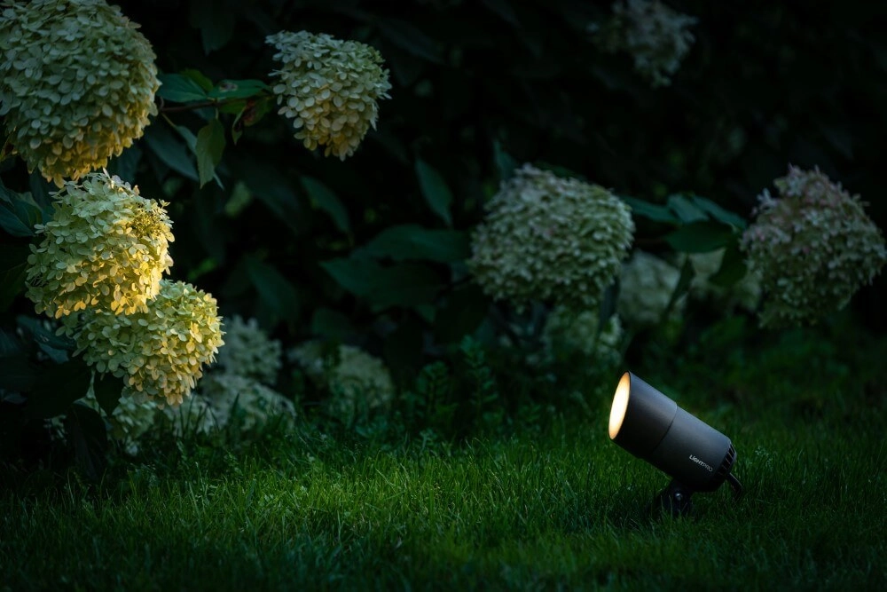 Spot a piquer Castor 4 Lightpro 5907800859898