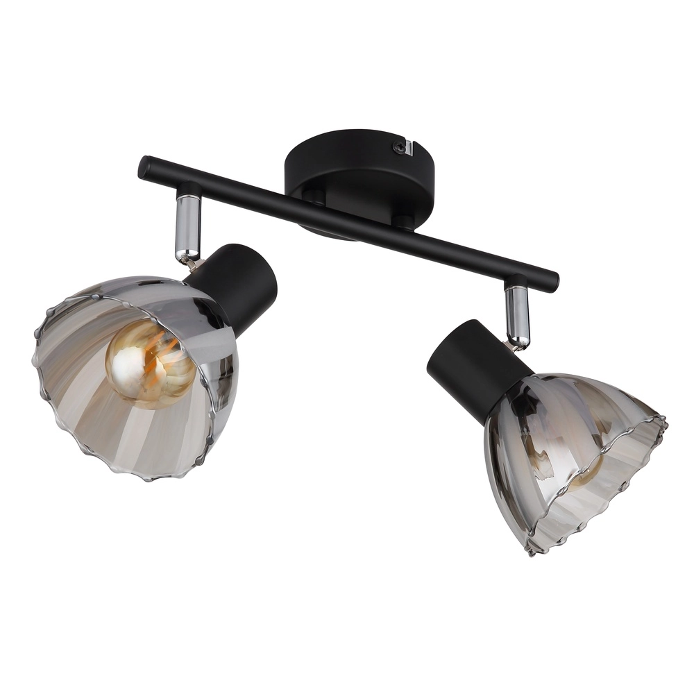 Lampe de plafond à deux lampes Zachery Noir Globo 9007371522507