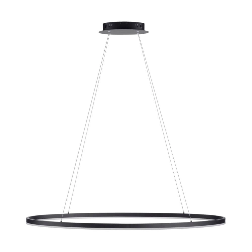Lampe à suspension anthracite Titus Ø 118 cm Paul Neuhaus 4012248375228