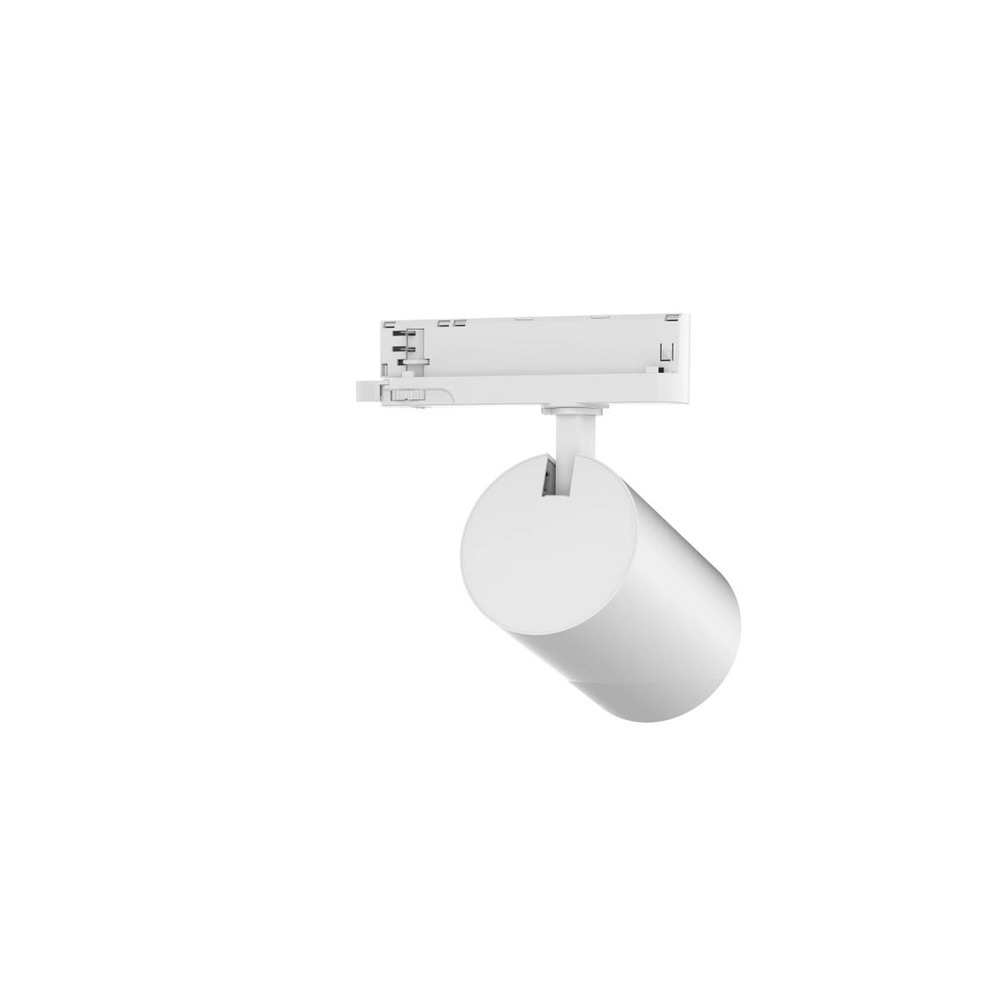 Blanc Trackspot pour rail triphasé 24W - 3000K SLV 4024163319898
