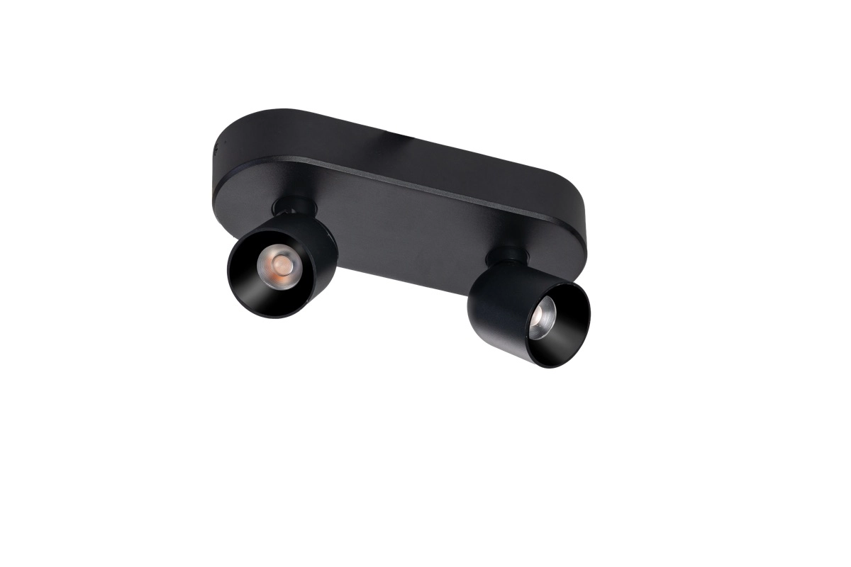 Projecteur de surface à deux lumières Dennis LED - Noir