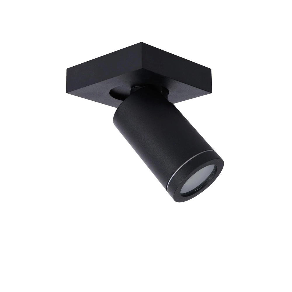 Projecteur de plafond Taylor IP44 noir simple