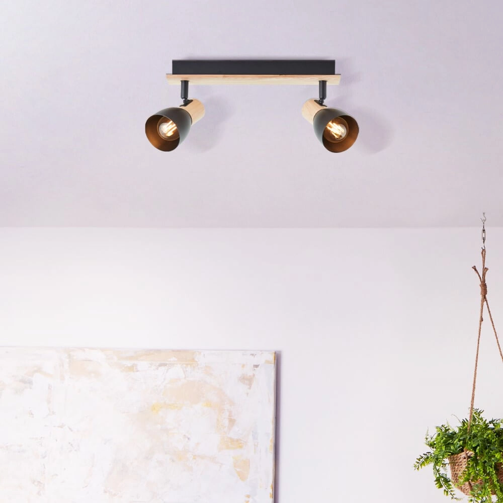 Plafonnier Daintree 2 lumières noir Brilliant 4004353408670