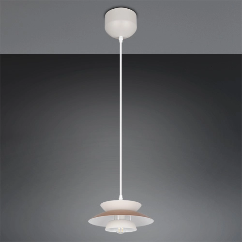 Conception de la lampe suspendue Amarila marron moka Ø 25cm Trio 4017807682755