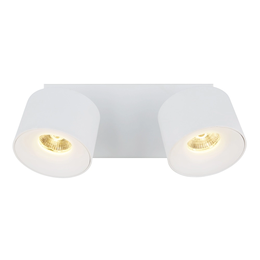 Lampe de plafond élégante Rae Blanc à deux lumières Globo 9007371450640