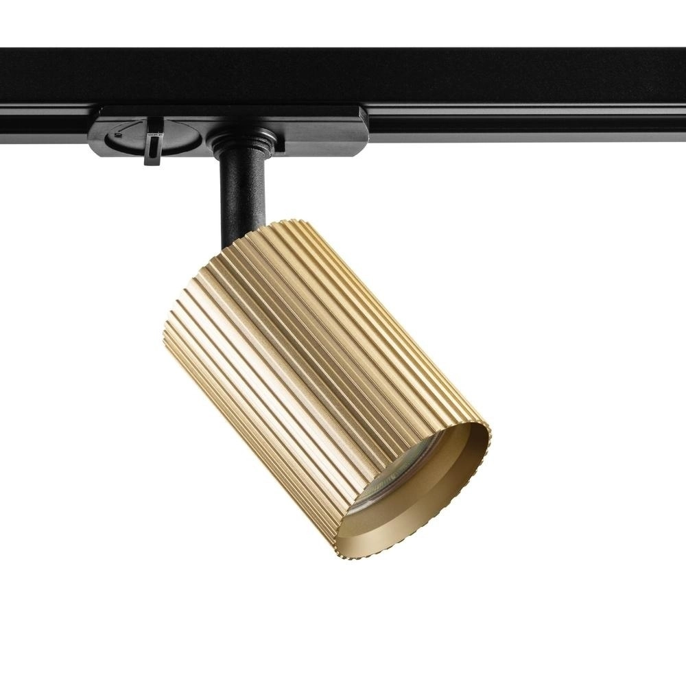 Tache dorée Onis Wing 1 phase Tache dorée Onis Wing 1 phase