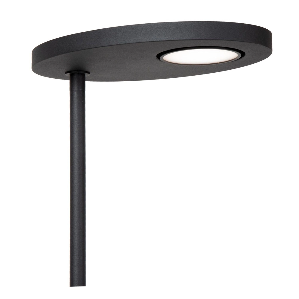 Lampe de lecture Ortolan Noir Lucide 5411212032249