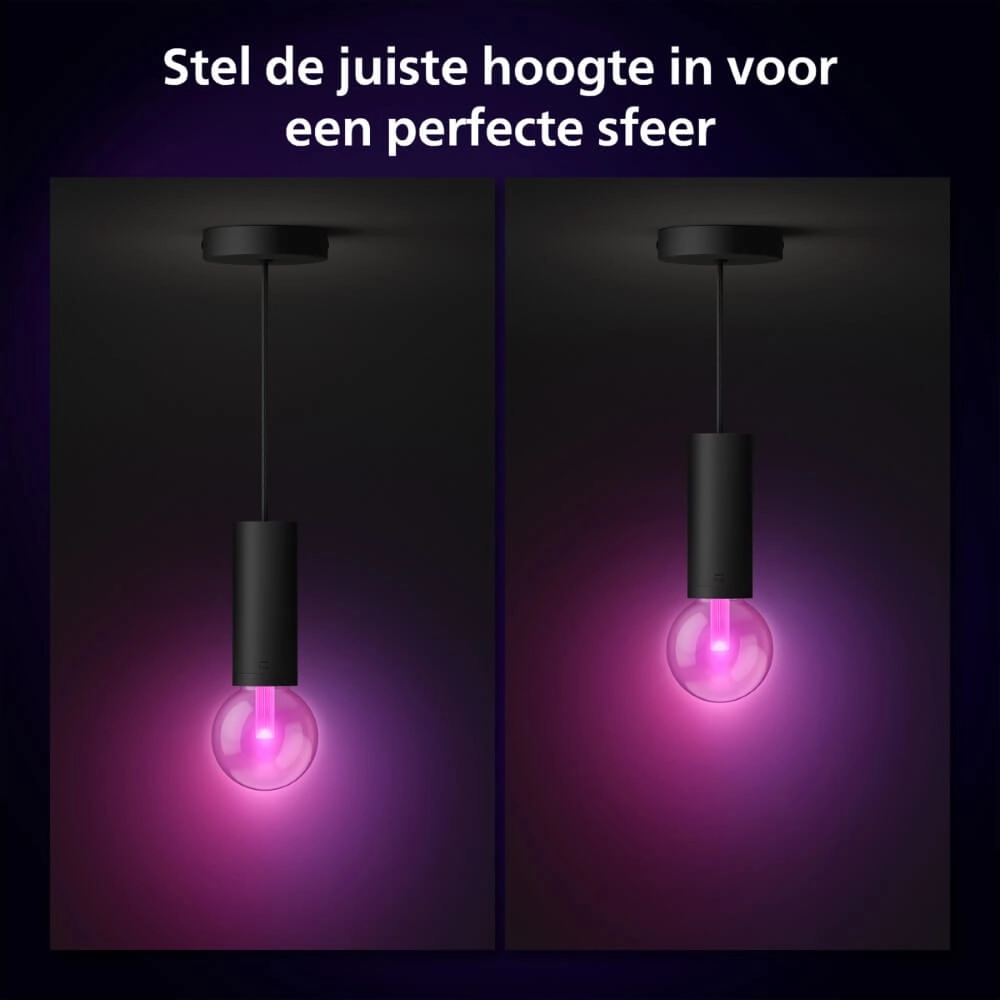 Hue Lightguide Cord Philips 8719514419452