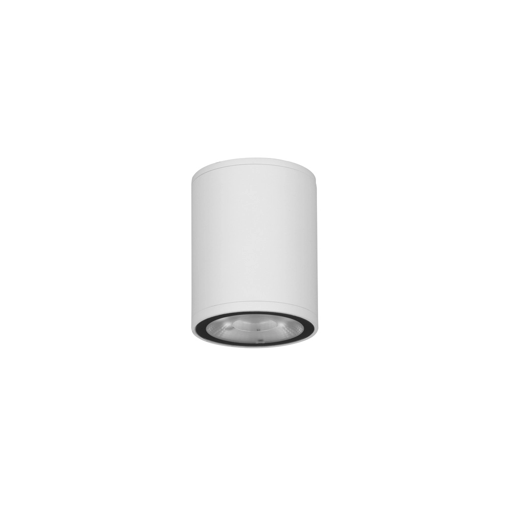 Spot de plafond Lumina 9W Blanc Lyora 5212017453914