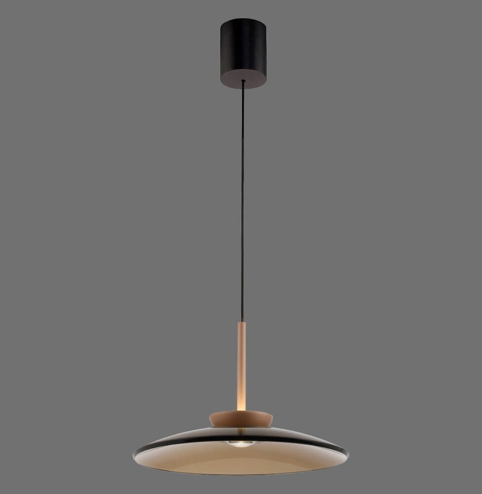Lampe suspendue 1 lumière Pure E-Moon bronze Paul Neuhaus 4012248382769