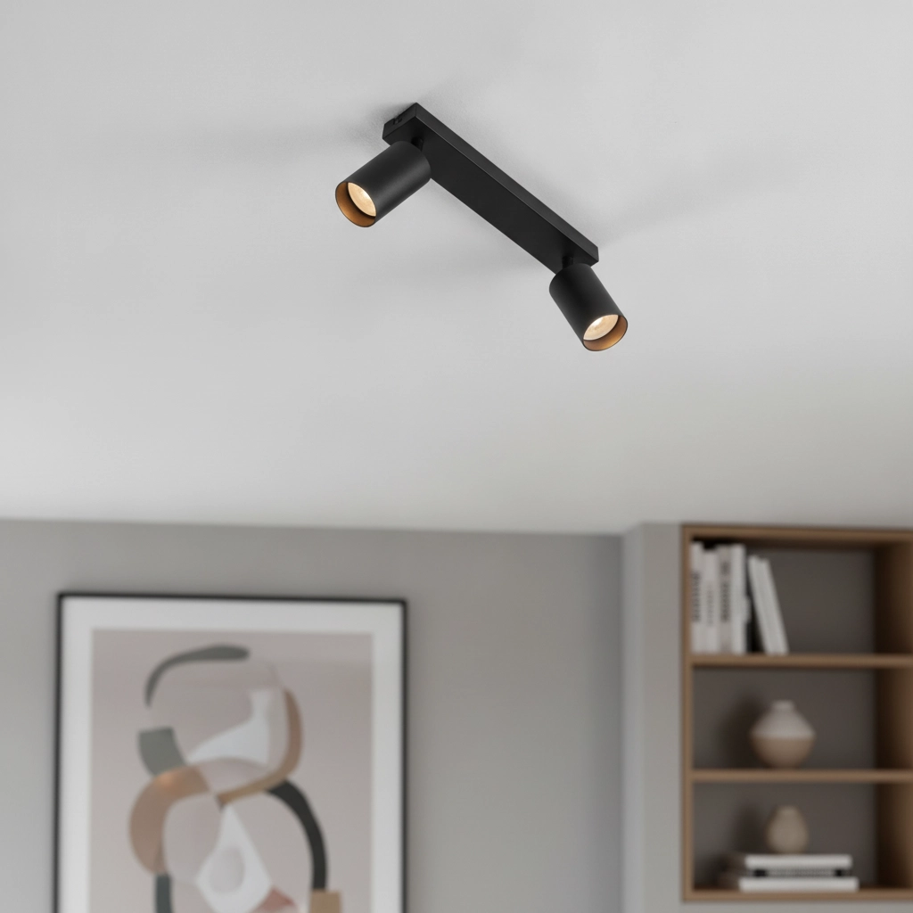 Spot de plafond Reig 2 lumières noir