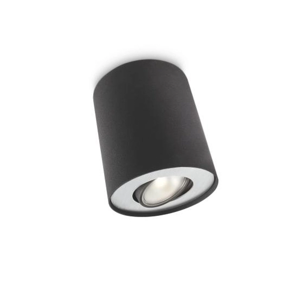 Spot de plafond robuste Pillar Philips 8718696156179