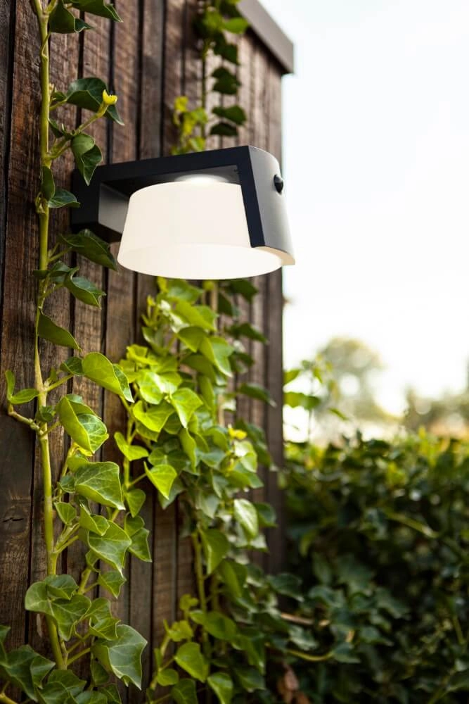 Applique solaire Moon anthracite Lutec 6939412014838