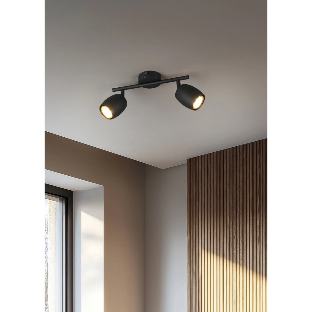 Plafonnier Nancy 2 lumières noir Trio 4017807656602