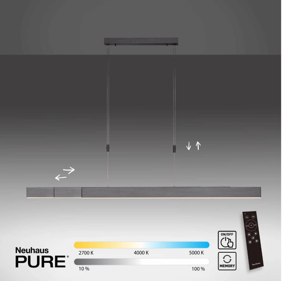 Lampe suspendue LED Pure-Moto anthracite brossé Paul Neuhaus 4012248363751