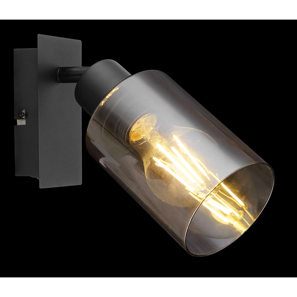 Lampe murale Hadera noir avec verre fumé Globo 9007371437214