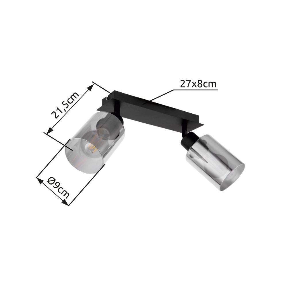 Lampe de plafond Hadera Noir à deux lumières avec verre fumé Globo 9007371440214