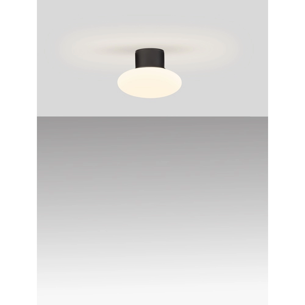 Plafonnier Ali anthracite avec verre blanc ovale Lyora 5212017476456