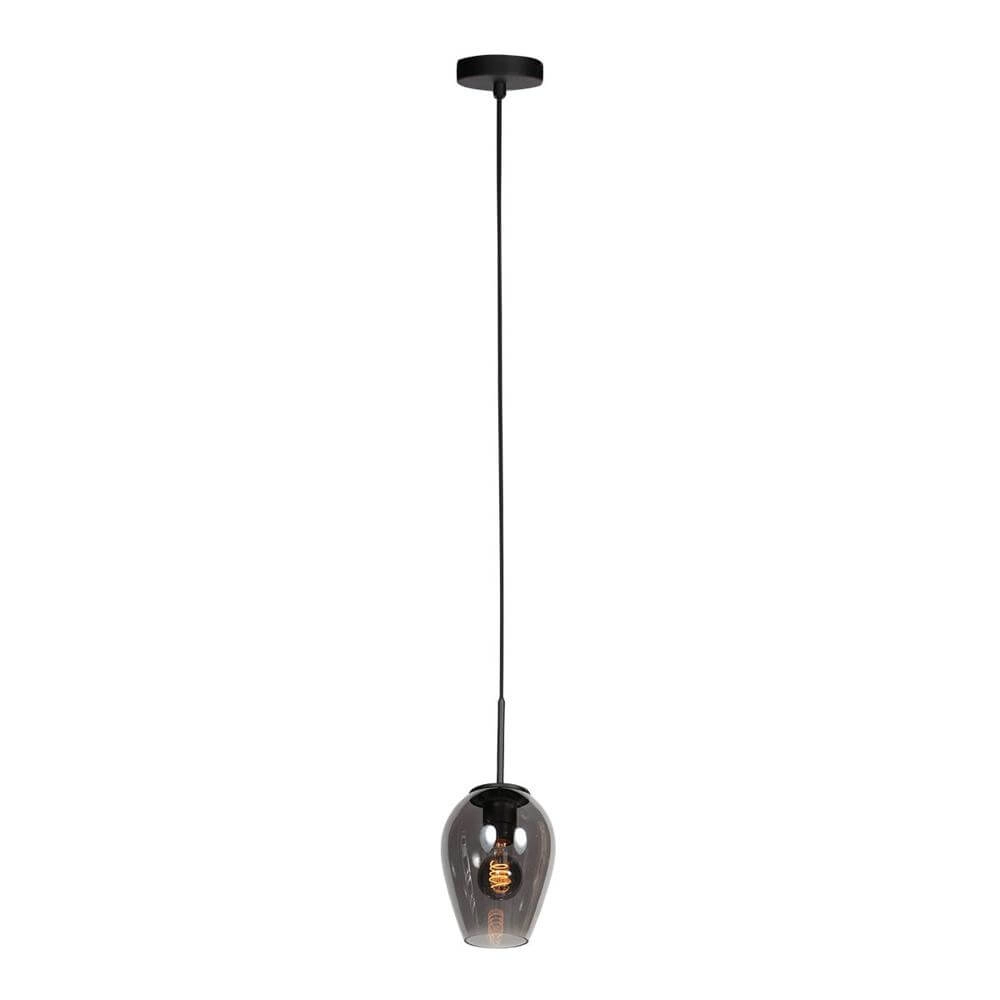 Suspension HaloSwap avec 1 verre à fumée Ø 15cm Steinhauer 8712746179712