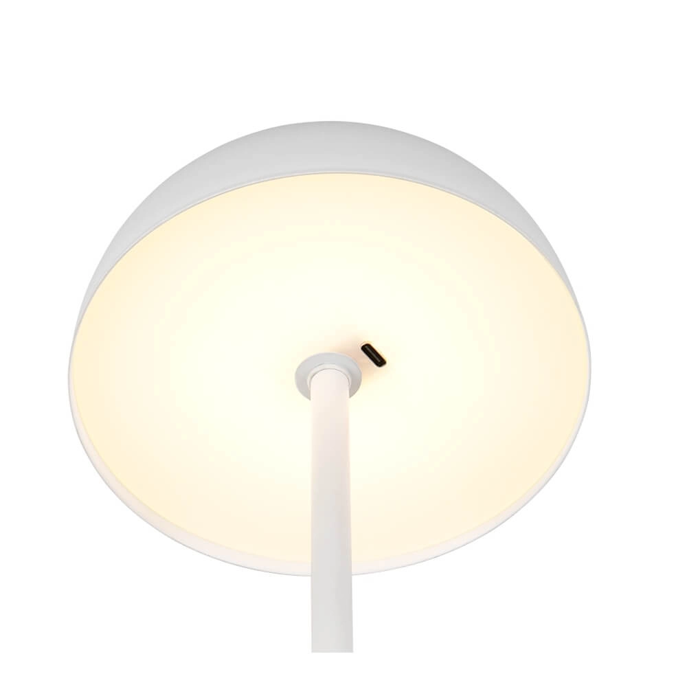 Lampe de table Munoz blanc Ø 13cm Trio 4017807640847