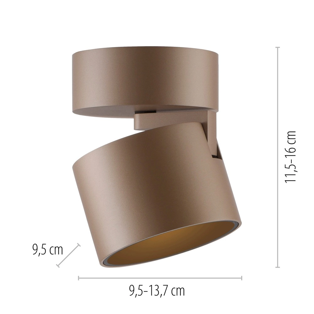 Spot lisse monté en surface Pure Cup Bronce Paul Neuhaus 4012248395592