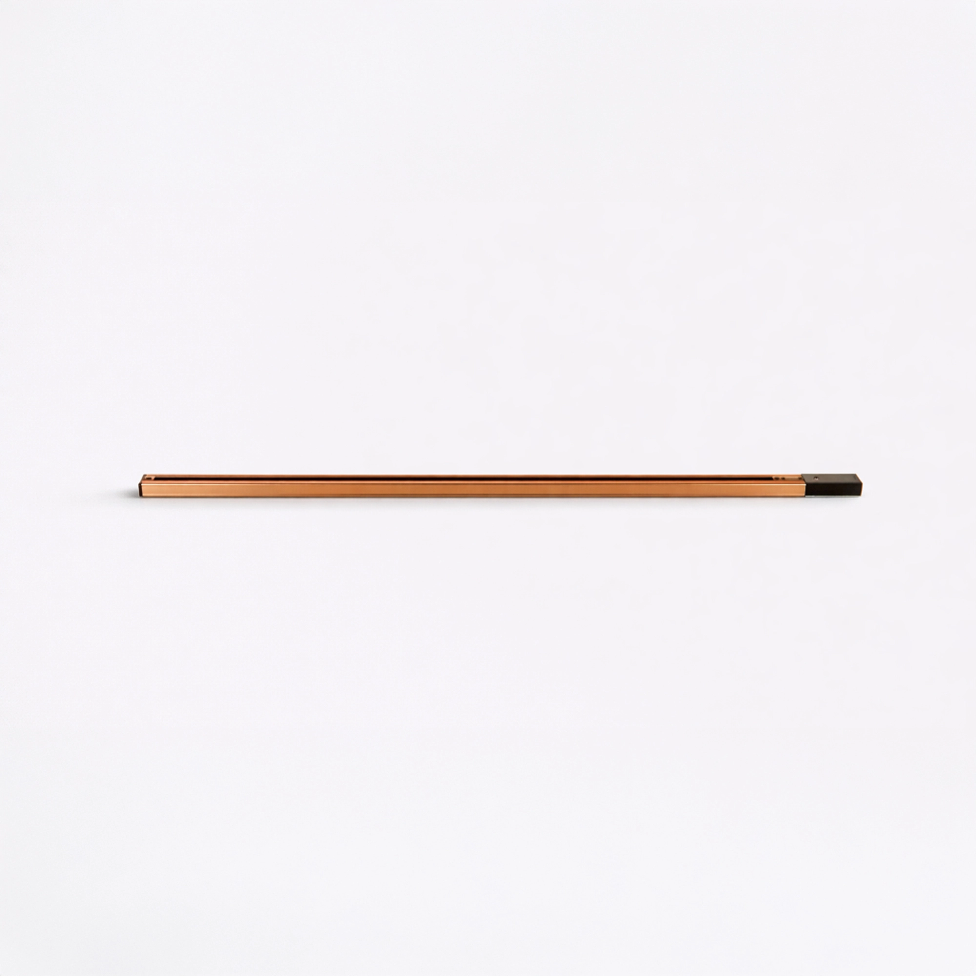 1 rail de compteur avec alimentation électrique TraQ Or