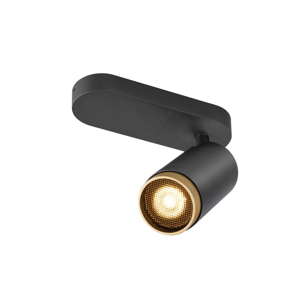 Spot monté en surface Grip! L Noir avec anneau en or
