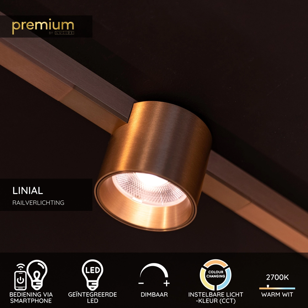 Spot sur piste monophasée Linial Lux Champagne Premium by Lucide 5411212552310