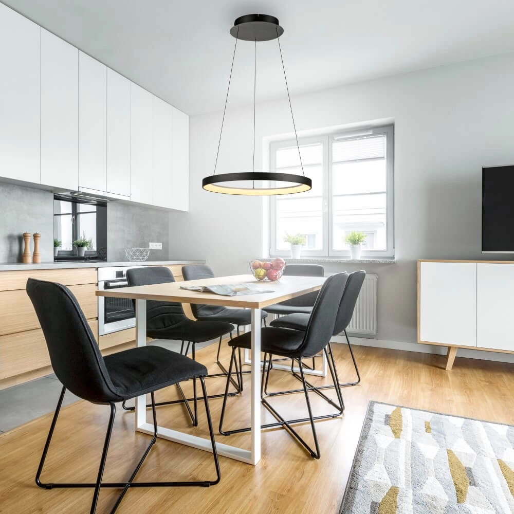 Lampe suspendue ronde Hoop noir Paul Neuhaus 4012248384695