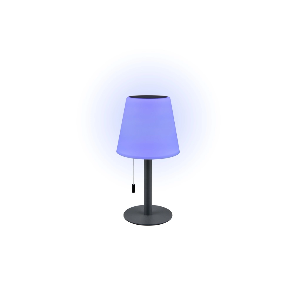 Lampe de table Lamure anthracite Trio 4017807699036