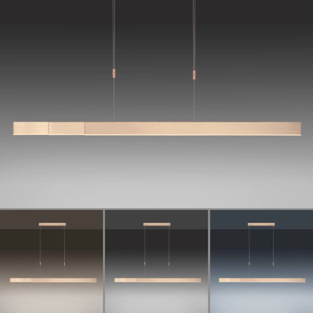 Lampe suspendue LED Pure-Moto laiton mat Paul Neuhaus 4012248363768