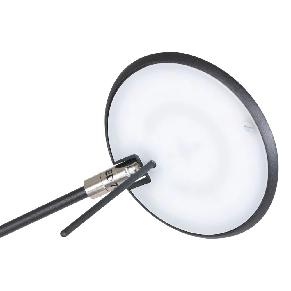 Lampe de lecture Zodiac LED Noir Steinhauer 8712746127331