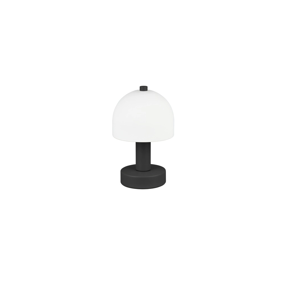 Lampe de table élégante Glenn noir Trio 4017807613605