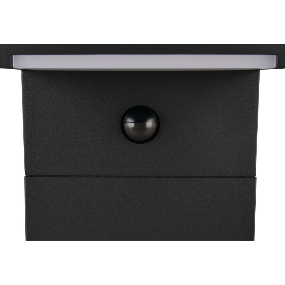 Lampe de jardin moderne Ravi anthracite avec capteur 50 cm Trio 4017807686913